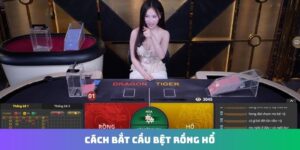 Cách bắt cầu bệt Rồng Hổ