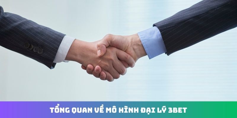 Tổng quan về mô hình đại lý 3Bet