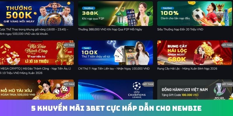 5 khuyến mãi 3Bet cực hấp dẫn cho newbie